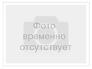 Гордость нашей школы